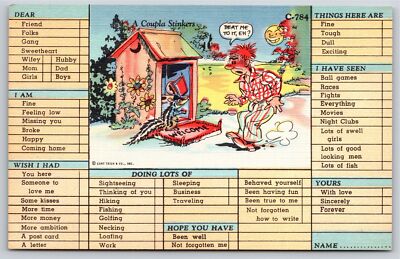 Comic~A Couple Stinkers~Man & Skunk @ Outhouse~Correspondence Vintage Postcard
