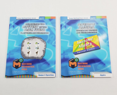 Lot of 2 Project M3 Level 3 Student Mathematician's Journal Workbooks Paperback
