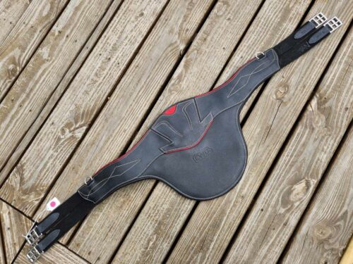 CWD Negro/Fucsia Color Deportivo Anatómico Perno Protector Vientre Circunferencia de Salto 50"/125 cm NUEVO - Imagen 2 de 12