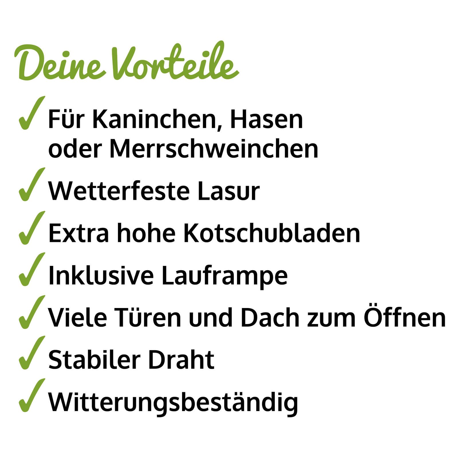 Bild 11 von 12