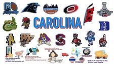 CAROLINA HURRICANES Panthers SPORTS Logo Patches ,iron ,sewing