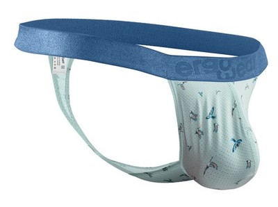 Mens Underwear: ErgoWear EW1776 SLK SE G-String