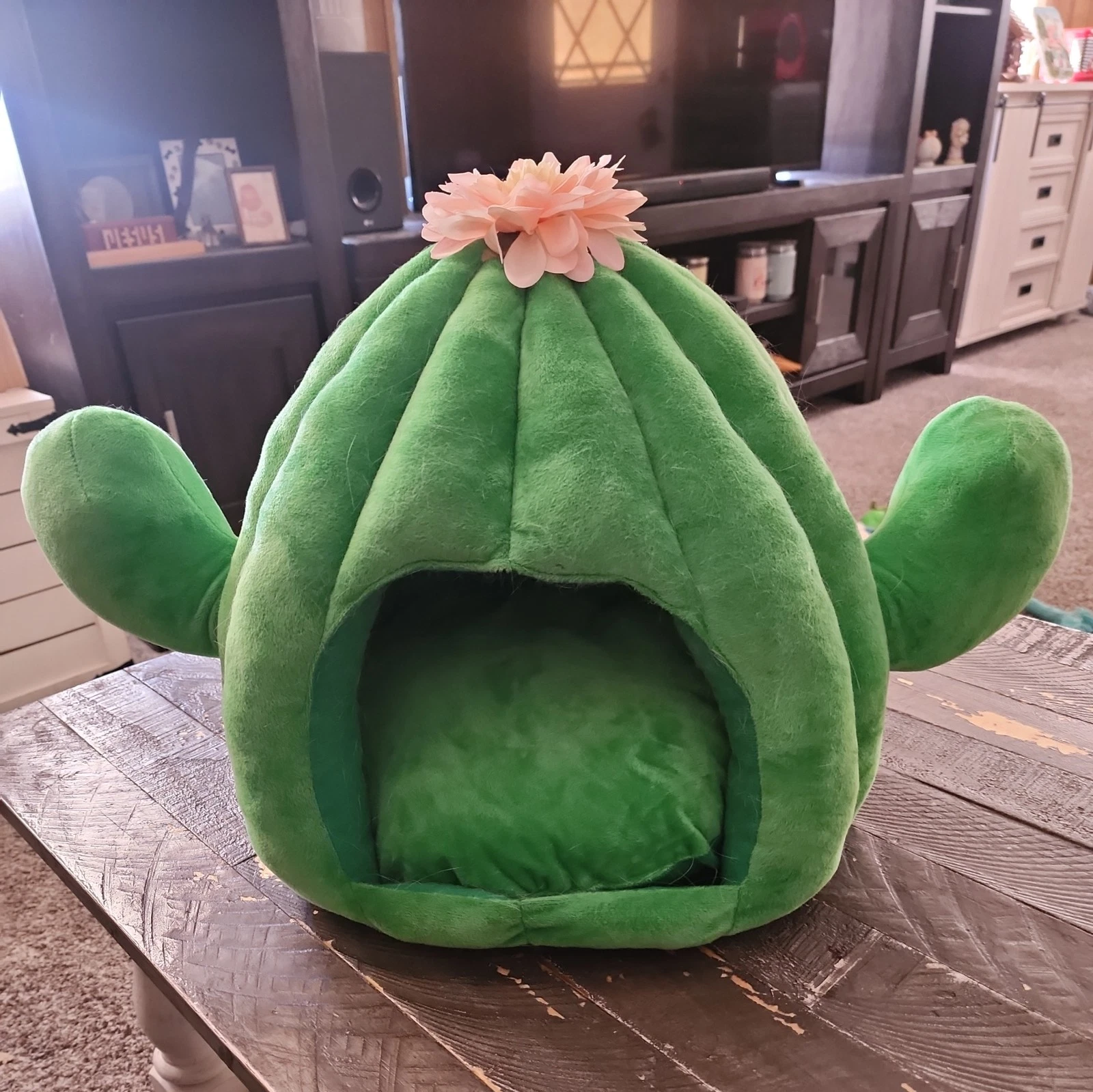 Cactus Cat Beds for Indoor Cats Warm Cat House Pet Bed Kitten Small Cat VETRESKA