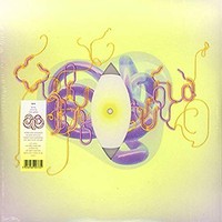 Bjork - Family Remix By Katie Gately - Vinyl Record 12 - F123Z