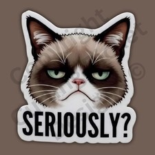 Seriously Grumpy Looking Cat Sarcastic Annoyed Funny 3" Vinyl Sticker