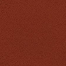 BMW Sakhir Orange Leather Dye