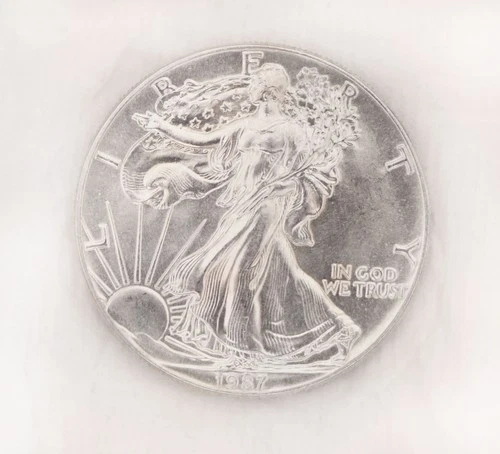 1987 SILVER Walking LIBERTY 1oz Fine Silver,  One Dollar Coin Uncirculated