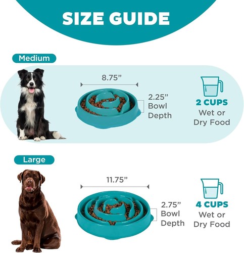 Outward Hound Fun Feeder Slo Bowl, Slow Feeder Dog Bowl, Medium/Mini, Turquoise - Picture 3 of 12