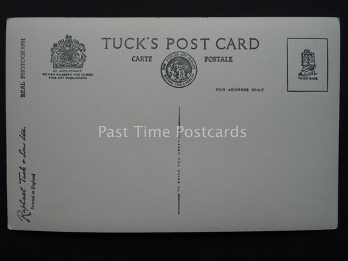 Croydon South London PURLEY The Rose Walk c1956 RP Postkarte von Raphael Tuck PL21 - Bild 2 von 2
