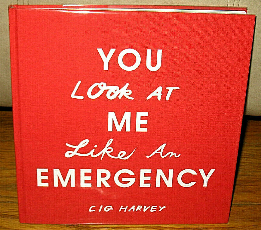 Cig Harvey You Look At Me Like An Emergency Visual Autobiography