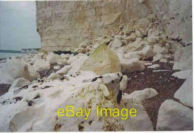 Foto 6x4 frische Kreideklippe - Fall unter Belle Tout. Birling Gap Belle Tout c2006