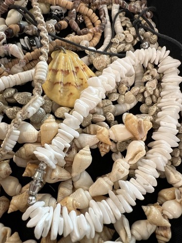 2 Lb Lot Necklace Seashell Puka Shell Cowrie Bracelet Hawaiian Abalone Shell S2 - Picture 3 of 17
