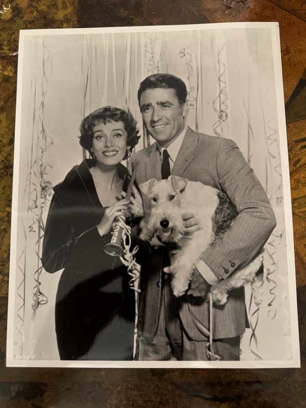 The Thin Man TV Series Set Of 3 Photos Of Peter Lawford & Phyllis Kirk (1957-59)