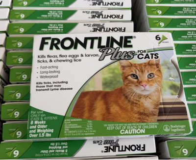 #ad #ad Frontline Plus for Cats and Kittens 6 Doses 100% Genuine U.S EPA Approve $23.99