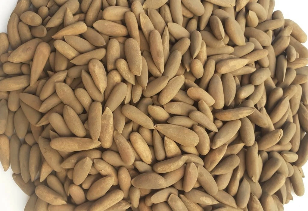 Pine kernels deals