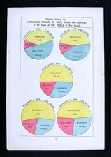 1884 Rand McNally Atlas Chart Gold Silver Currency in Hands of People 1879-1882
