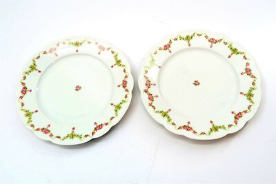 2 Antique M & Z Austria Rose Chinz 8.75'' plates with Floral Design