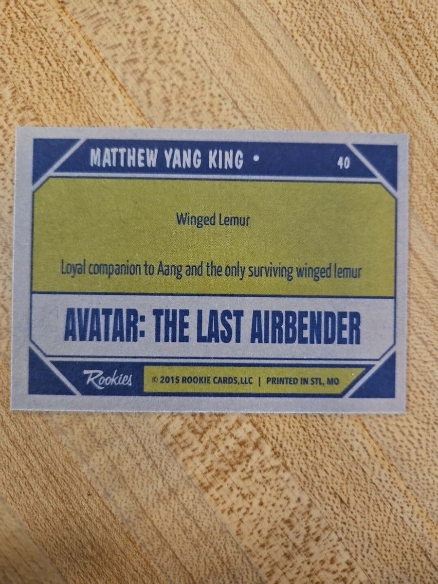 Avatar: The Last Airbender Live Action Custom Card - Momo | eBay