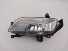 Hyundai H-1 Grand Starex Nebelscheinwerfer 2011 links