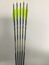 Victory VAP Target Elite V1 450 Spine 26 Inch (5 Arrows) Target Points