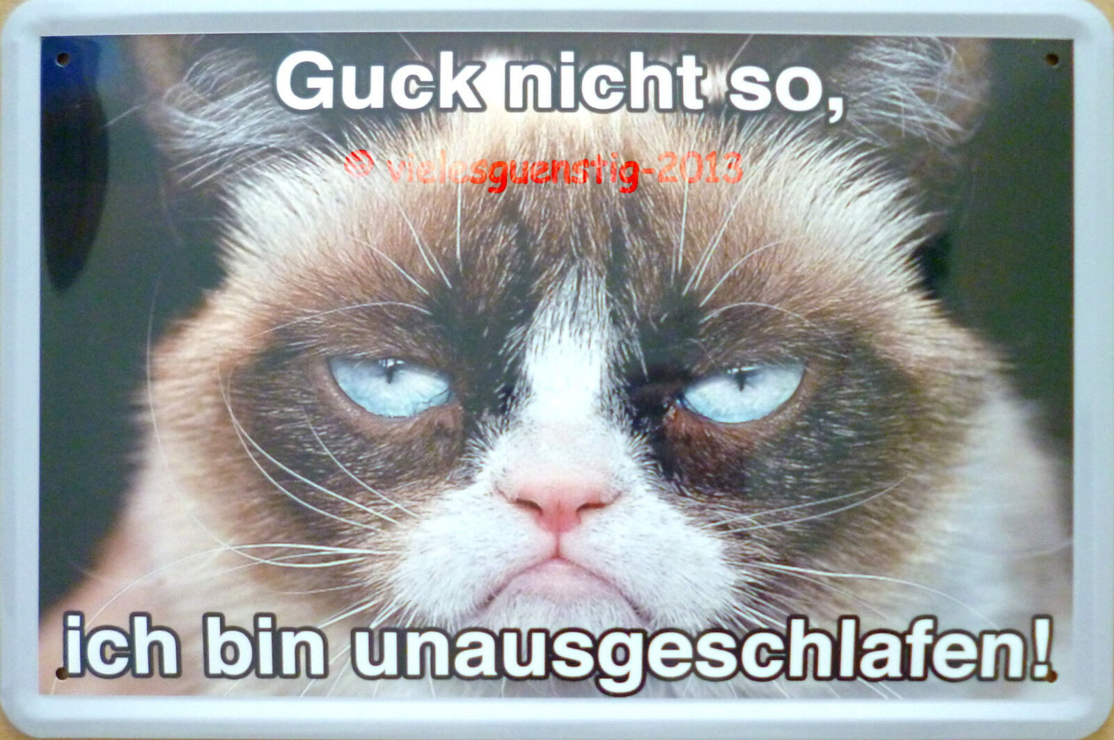 Bild 1 von 1