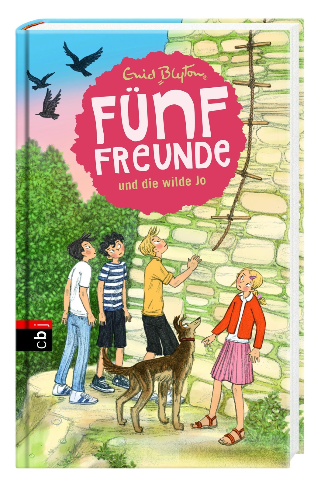 Thumbnail - Fünf Freunde Und Die Wilde Jo | Enid Blyton | Buch | Fünf Freunde |