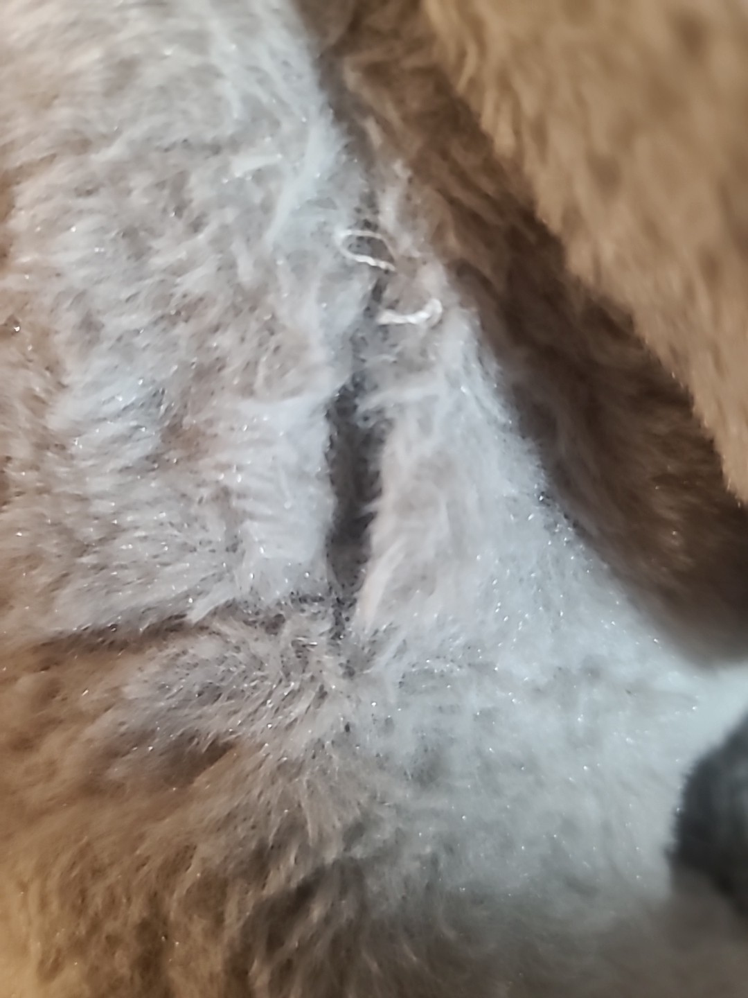 1.5kg Weighted Sloth Stuffed Animal LoveHugs