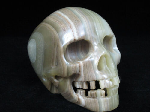 5.0" AFGHANISTAN JADE Carved Crystal Skull, Realistic, Crystal Healing #16 - Picture 1 of 7