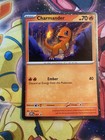 Foto 1 di 2