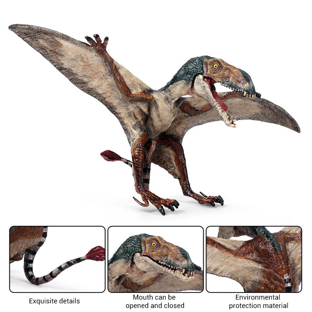 Pterodactylus Life Size Replica Flying Male Open Mouth Dinosaur