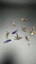10Pcs Fly Fishing Place Basics Collection Double Bead Head Nymph Assortment New