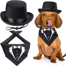 2-Piece Pet Accessories Set - Formal Top Hat with Bandanas, Triangle Scarf for D