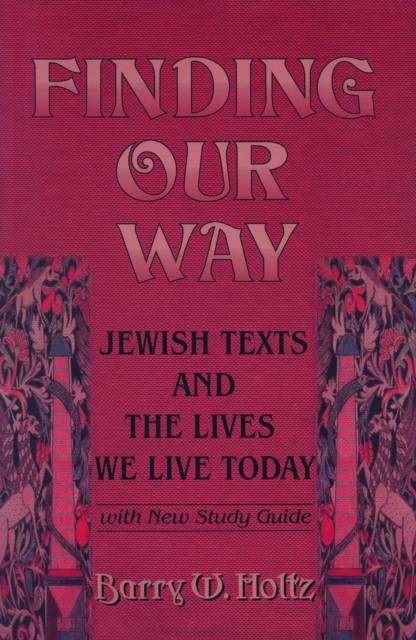 Finding Our Way  Jewish Texts and the Lives We Lead by Barry W. Holtz PAPERBACK