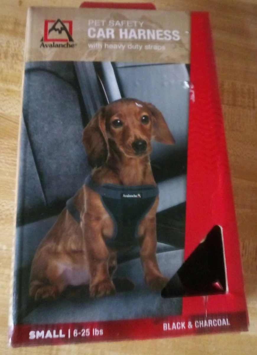 Avalanche pet safety car clearance harness