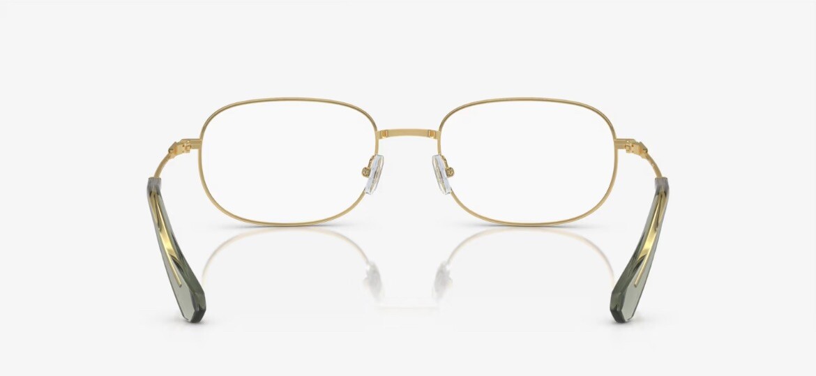 SWAROVSKI SK 1005 4004 Eyeglasses Size 52mm 19mm 135mm gold  display picture 2