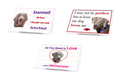 Lustiger Hund Weimaraner Kühlschrankmagnet verschiedene Designs Haustierliebhaber ideales Geschenk