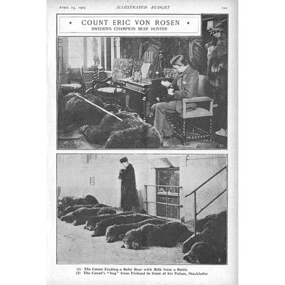 Count Eric Von Rosen Sweden's Champion Bear Hunter - Antique Print 1904
