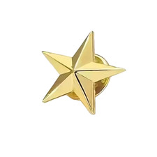 Stern Pin Gold Anstecker Golden Star Badge An...