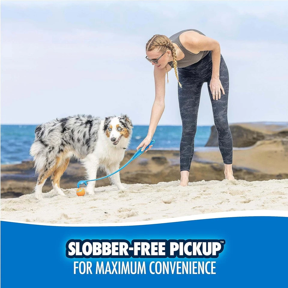 Chuckit! Lanzador de Pelotas para Perros Clásico 26M Juguete para Perros, Mango de 26", Incluye Mediu Foto 4 de 4