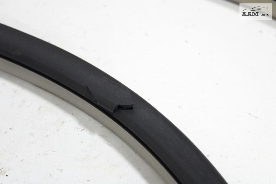 Cadillac CTS 2014-2019 carrocería de puerta lateral derecha resistente a la intemperie sello de goma OEM Foto 3 de 4