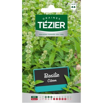 Tezier Basilic Marseillais