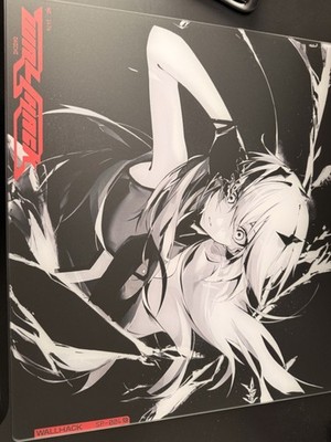 WALLHACK SP-004 Limited Edition Frenzy Sora #1476 Mouse Pad | eBay