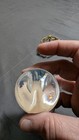 Vintage Baccarat Crystal Egg with Stand France — photo 3