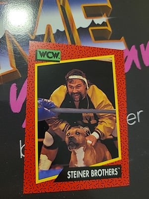 Impel WCW 1991 WWE Steiner Brothers Wrestling Trading Card