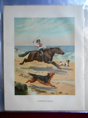 Young Boy Seaside Gallop Horse Ride Dogs - Victorian Chromo Litho Print 1900/2