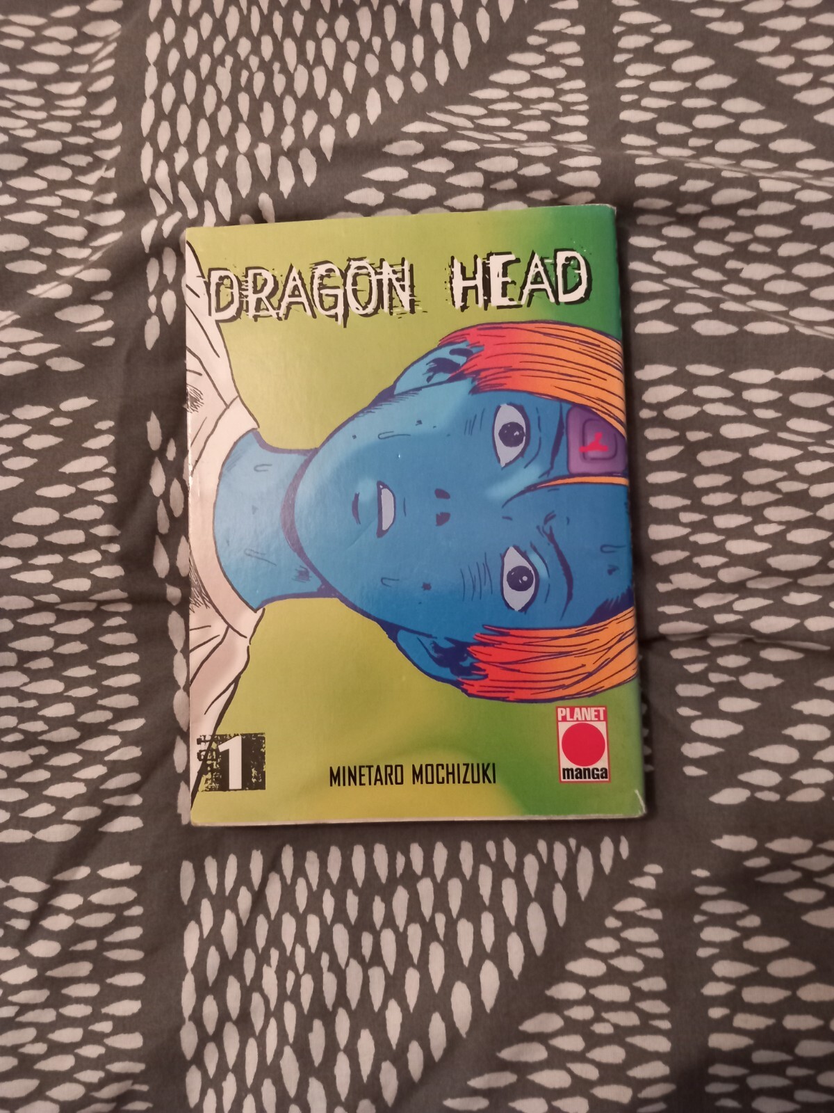 Dragon head Manga