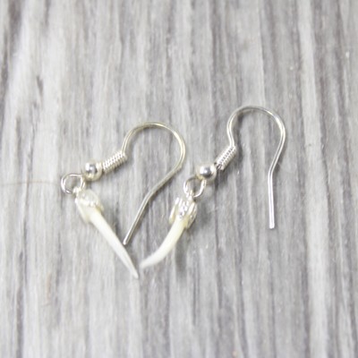 Rattlesnake Fang Earrings  #4154  Mountain Man Earrings