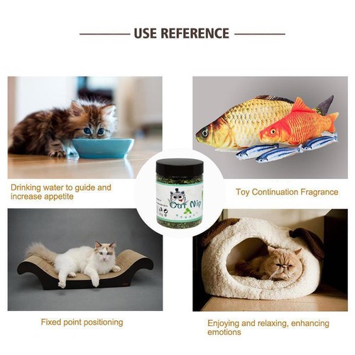 20g Natural High Quality Catnip Cattle Grass Mint Taste Funny F1Z4 φ◇ Toy 9l9f3 - Picture 8 of 10