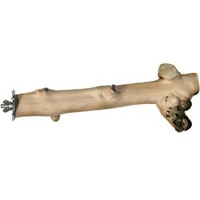 Prevue Pet Products 9" Branch Coffea Wood Bird Perch