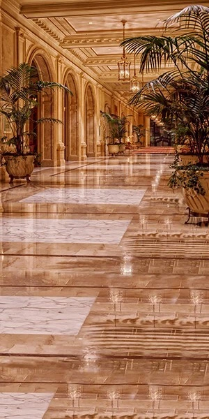 Fondo de tela de microfibra para árbol del corredor del Gran Palacio Huayi BHF1146 Foto 4 de 4